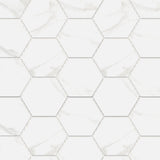 Mamo Grigio Hexagon Mosaic