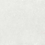 Plazzo White
