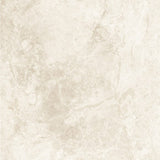 Tundra Plus Beige Matt